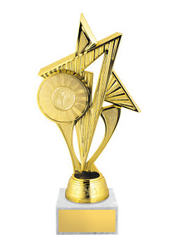 Приз наградной «Звезда» - PS1983