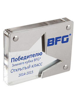 Награда из акрила - PS1119-1